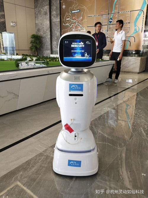 杭州有機器人租賃公司嗎