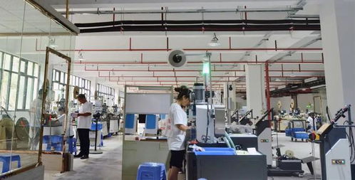 徐本國 把工廠從深圳搬回云陽 為家鄉發展出一份力